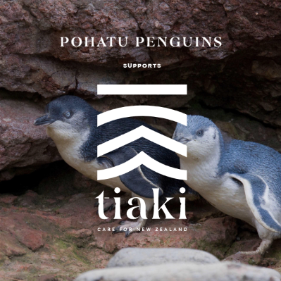 Tiaki Promise Pohatu penguins Akaroa